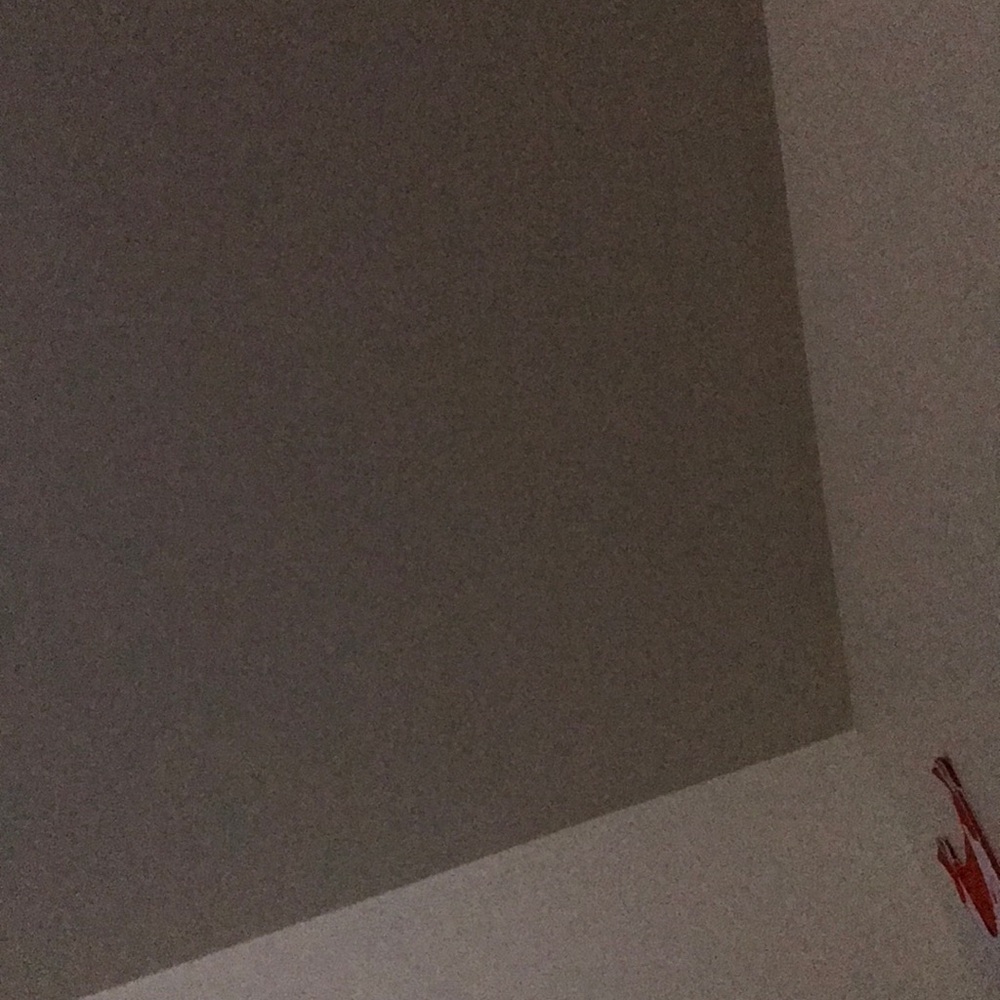 Meet your Posher, Ammie